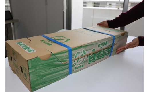 白ネギ (3kg前後) 長ネギ 産地直送 ネギ ねぎ 鍋 野菜 新鮮 西日本トップクラスの産地