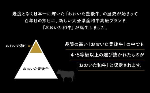 ヒレステーキ 黒毛和牛 (150g×3枚,約450g) 希少部位 A4~A5 おおいた和牛 牛肉 赤身 おすすめ ヒレ フィレ ヘレ ステーキ 九州産 ブランド牛 ステーキ肉 バーベキュー BBQ 焼肉 国産 ヒレ肉