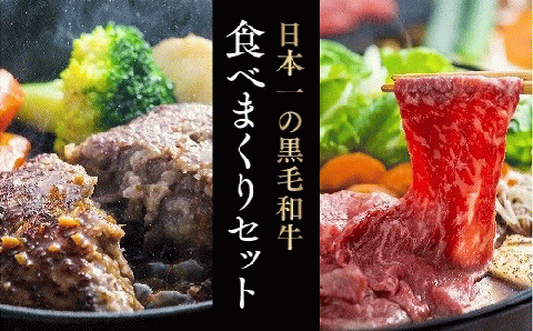 ハンバーグ (100g×9個) すき焼き肉 (500g) セット 黒毛和牛 豊後牛 すき焼き 肉 500g 九州 夕飯 惣菜 贅沢 ギフト 贈り物 【スピード発送】