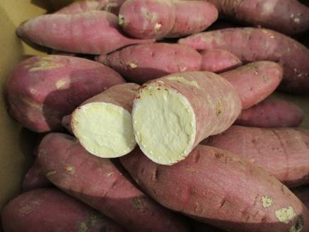 有機JASさつまいも（10kg/訳あり/S～Lサイズ）