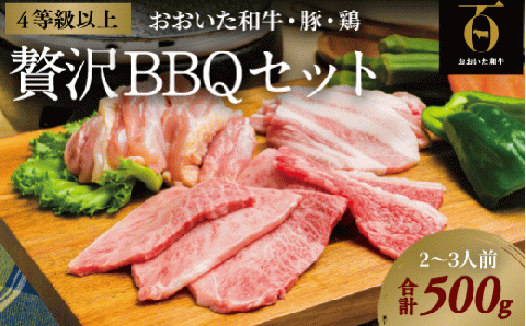 黒毛和牛 贅沢BBQセット (計500g) 焼き肉 おおいた和牛 A4~A5 豚バラ 鶏もも バーベキュー キャンプ 焼肉 セット 牛 豚 鶏 和牛 九州産 国産 和牛 【スピード発送】