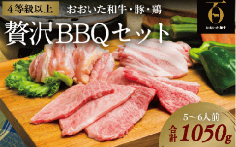 黒毛和牛 贅沢BBQセット （合計1050g） 焼き肉 おおいた和牛 A4～A5 豚バラ 鶏もも バーベキュー キャンプ 焼肉 セット 牛 豚 鶏 和牛 九州産 国産 和牛 【スピード発送】