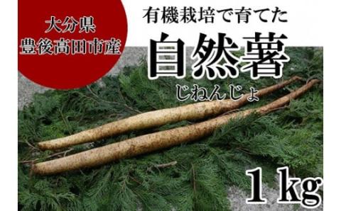 有機栽培で育てたこだわりの自然薯