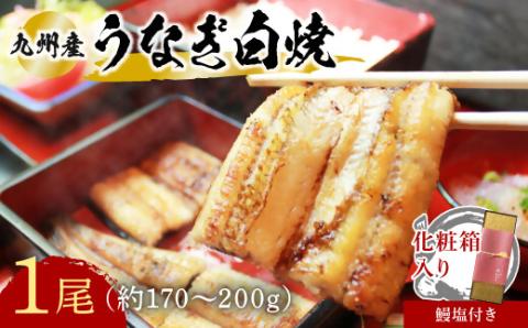 志おや うなぎ 白焼 1本 (約170～200g) 塩付 鰻 九州産 ウナギ 化粧箱入り 【スピード発送】