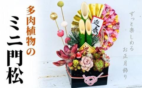 【先行受付】多肉植物のミニ門松