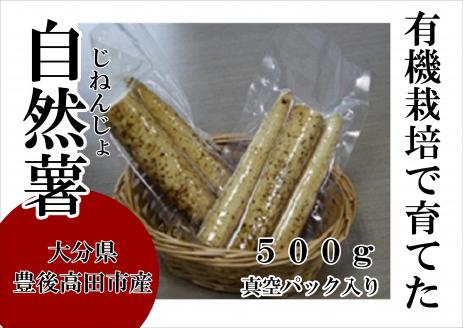 有機栽培で育てたこだわり自然薯