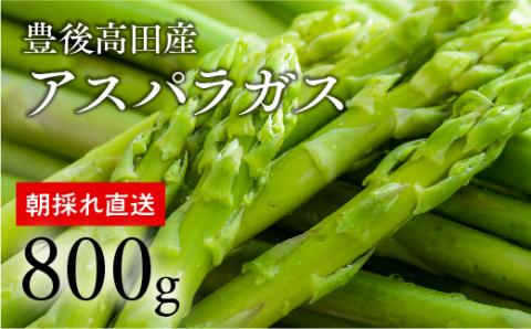 グリーンアスパラガス（800g）【R6.5月中旬～6月配送】