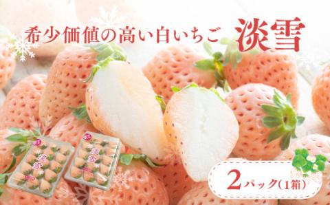 【先行予約】 白いちご 淡雪 (220g×2パック) フルーツ くだもの 白いちご 果物 完熟 イチゴ 苺 希少 おすすめ 白 果実 デザート 甘い 直送 人気 No.1 期間限定 大分県 豊後高田市 国産 箱入り ストロベリー 先行受付