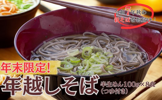 【12/17～28配送】R7秋新そば 豊後高田なまそば（100g×2）×4袋 年越しそば 【年内配送】