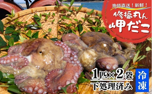 修福丸ん岬だこ 丸ごと 2匹 下処理済み 約1.2kg