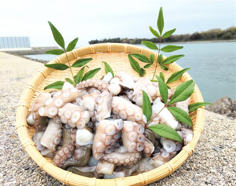 岬だこブツ切り200g×3パック食べきりサイズ！