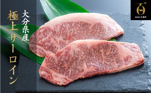 【年内配送】【スピード発送】黒毛和牛 サーロインステーキ (200g×2枚) 片桐さん おおいた和牛 サーロイン ステーキ ブランド牛 A5 A4 九州 国産 牛肉 和牛 通販 お取り寄せ 肉 贅沢