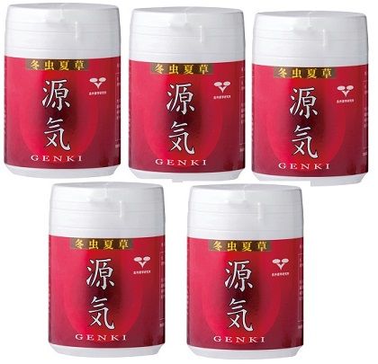 冬虫夏草　源氣(とうちゅうかそう　げんき)×5個組