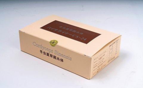 バイオライナーCS-24　冬虫夏草菌糸体!