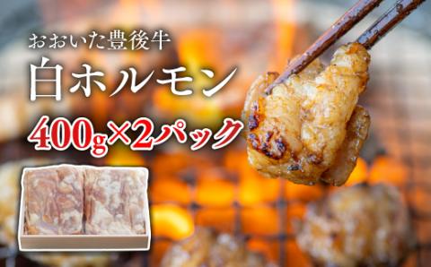ホルモン 白 焼肉 黒毛和牛 (400g×2) 白ホルモン 真空パック 小分け 丸腸 牛 パック 国産 九州 冷凍 和牛 肉 牛肉 ブランド牛 大人気 ボリューム 鍋 和牛 もつ鍋 ホルモン焼き もつ鍋 ホルモン鍋 BBQ 炒め物 焼き肉 【スピード発送】