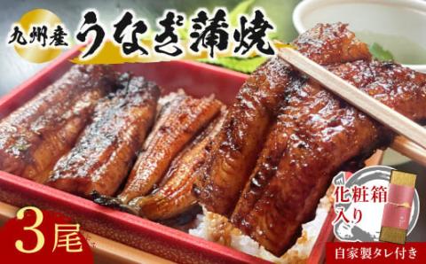 うなぎ 志おや 九州産 鰻 蒲焼 3本 タレ付 鰻 ウナギ 国産 蒲焼き かばやき 【スピード発送】
