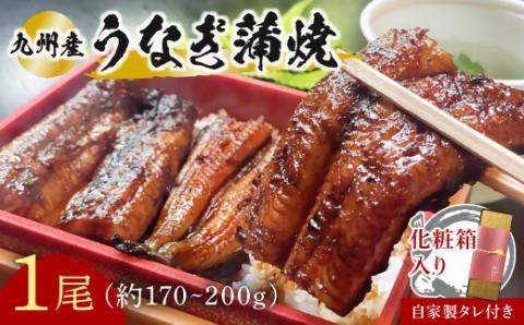 うなぎ 蒲焼 1本 (約170～200g) タレ 付 志おや 九州産 ウナギ 鰻 かば焼き 【スピード発送】