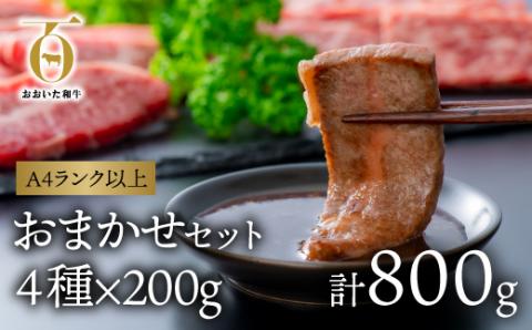 [スピード発送] 焼肉セット (計800g) 黒毛和牛 A4?A5ランク おおいた和牛 九州 ブランド牛 焼き肉 バーベキュー 国産 牛肉 冷凍