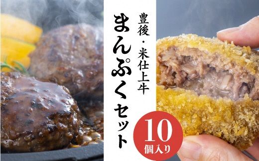 ハンバーグ メンチカツ セット 計10個 豊後・米仕上牛 手作り 牛肉 大満足 肉 夕飯 時短 便利 惣菜 冷凍 [スピード発送]