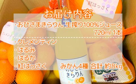 今村農園のみかん4種（計約8kg）とおひさまきらりん 生搾り100%ジュースセット フルーツ みかん 果物 先行予約 ＜107-041_5＞