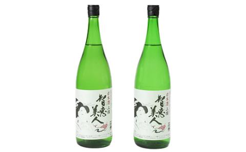 智恵美人 上撰 1800ml×2本セット【中野酒造】 ＜110-010_7＞