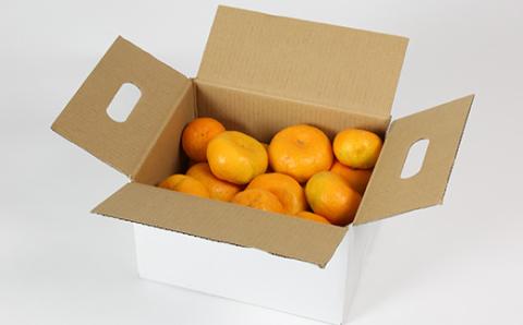 【訳あり品】オレンジ農園のハウスみかん 約2.5kg＜114-001_5＞