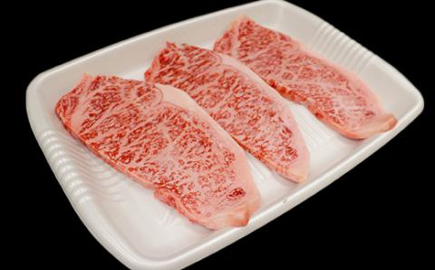 おおいた豊後牛サーロインステーキ510g（170g×3枚） ＜105-006_5＞