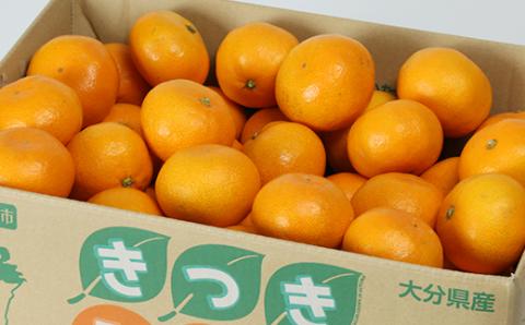 杵築産 温州みかん5kg（秀品） ／ ミカン みかん 蜜柑 柑橘類 5kg 11月 12月 1月 先行予約 温州みかん フルーツ ＜132-001＞
