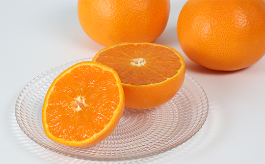 岩尾農園の温室栽培せとか 特選 約1.5kg 先行予約 果物 柑橘類 みかん ＜066-003_5＞