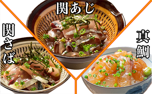 ＜3か月定期便＞りゅうきゅう9種定期便(関あじ・関さば・真鯛・本マグロ・豊後あじ・ぶり・かぼすぶり・豊後さば・太刀魚)[3種×各2食×3回] 海鮮丼 定期便 3回 3ヶ月 漬け丼 大分郷土料理 豊後絆屋 魚 冷凍 クール便 加工品 惣菜 刺身 海鮮 漬け 醤油漬 真空パック 小分け 関アジ 関さば 鯛 マグロ アジ ぶり かぼすぶり さば 太刀魚 ＜101-863＞