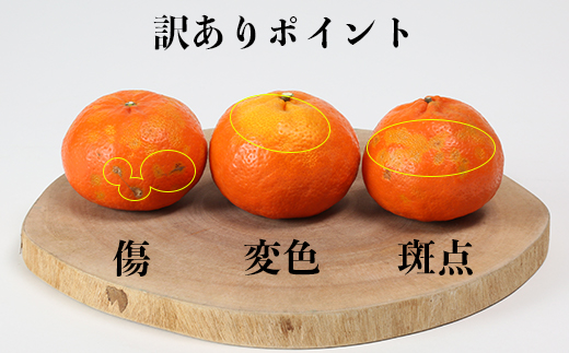 【訳あり・規格外品】野菜ソムリエ石児さんの「アンコール 3.5kg」 ミカン みかん 蜜柑 柑橘 3.5kg 訳あり 甘い 柑橘類 アンコール アンコールオレンジ フルーツ 先行予約 ＜103-017＞