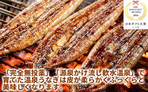 ＜定期便(毎月)全3回＞完全無投薬養殖！温泉うなぎ蒲焼 2尾（160gサイズ） 自宅用 エコ包装 年末 年内発送 ＜104-803＞
