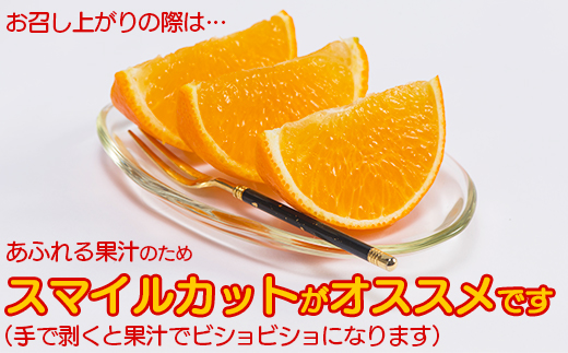 【訳あり・優品】今村農園のおひさまきらりん 約3.5kg フルーツ みかん 果物 先行予約 ＜107-019_7＞ 3.5kg