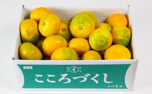 【訳あり・規格外品】今村農園のハウスみかん 約3kg＜107-001_7＞