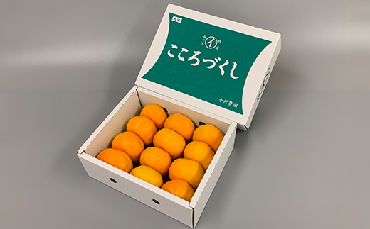 【訳あり・優品】今村農園のハウスみかん 約1.5kg＜107-002_7＞