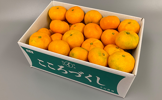 【訳あり・優品】今村農園のハウスみかん 約4kg＜107-003_7＞