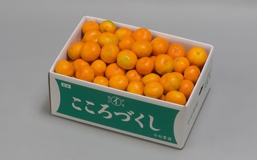 【訳あり・優品】今村農園のハウスみかん 約20kg＜107-005_7＞