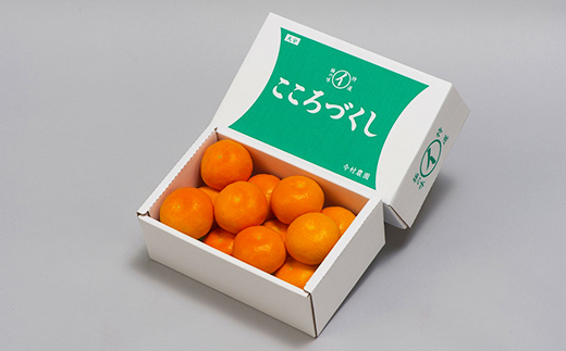 今村農園のハウスみかん 約1.2kg【秀品】＜107-006_7＞