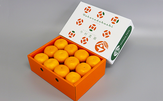 今村農園のハウスみかん 約2.5kg【秀品】＜107-007_7＞