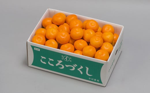 今村農園のハウスみかん 約20kg【秀品】＜107-010_7＞