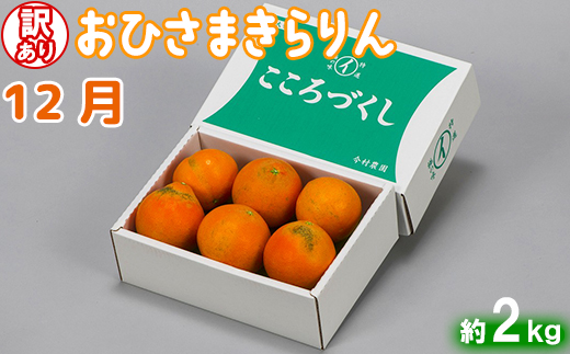 今村農園の訳ありミカンとジュースの定期便（１２月・２月・４月）【まんぞくコース】＜107-801_7＞