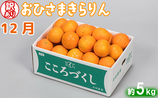 今村農園の訳ありミカンとジュースの定期便（１２月・２月・４月）【たっぷりコース】＜107-802_7＞