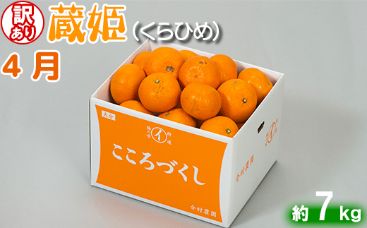 今村農園の訳ありミカンとジュースの定期便（４月・６月・８月）【まんぞくコース】＜107-803_7＞