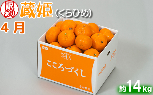 今村農園の訳ありミカンとジュースの定期便（４月・６月・８月）【たっぷりコース】＜107-804_7＞