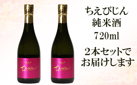 【日付指定可】ちえびじん純米酒 720ml 2本セット [Kura Master 2018 プレジデント賞受賞]【中野酒造】 ＜110-001＞