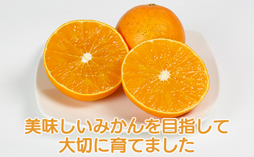 【年内発送】【訳あり・規格外品】九州のオレンジ「ハウス天草」約3～3.3kg＜114-003_5＞