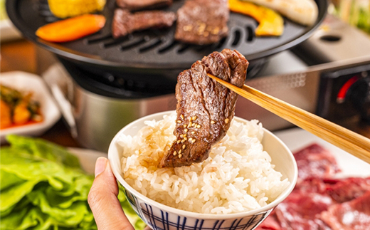 おおいた和牛ホルモン（ハラミ 150g）【ニード牧場】 牛ハラミ肉 ＜129-017_6＞