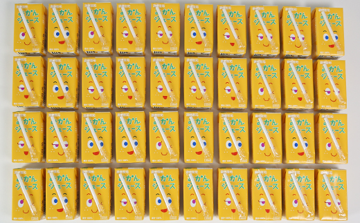 果汁100％ 紙パック みかんジュース 125ml×40本＜131-010＞