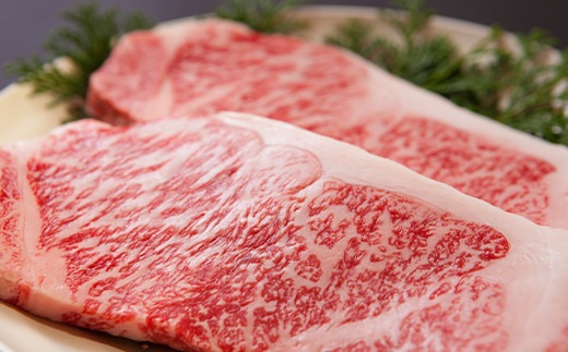 おおいた豊後牛サーロイン・ヒレステーキ 各２枚セット バーベキュー BBQ ＜122-012_5＞