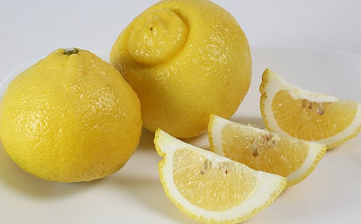 【訳あり品】阿部農園の「はるか 約7.5kg」 ／ ミカン みかん 蜜柑 柑橘類 はるか 先行予約 3月 訳あり 数量限定 フルーツ 黄色いみかん ＜112-010＞